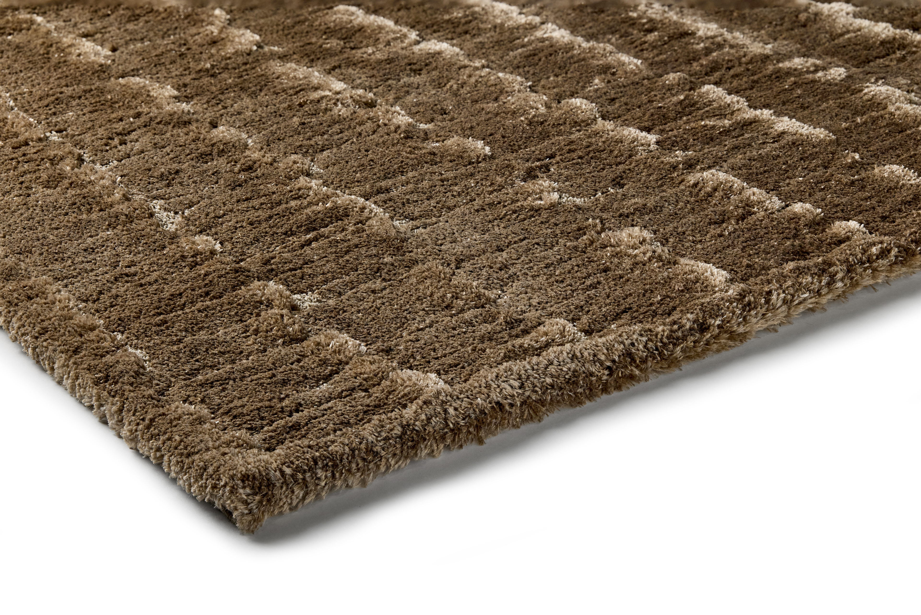 cattania_carpet_allvariants