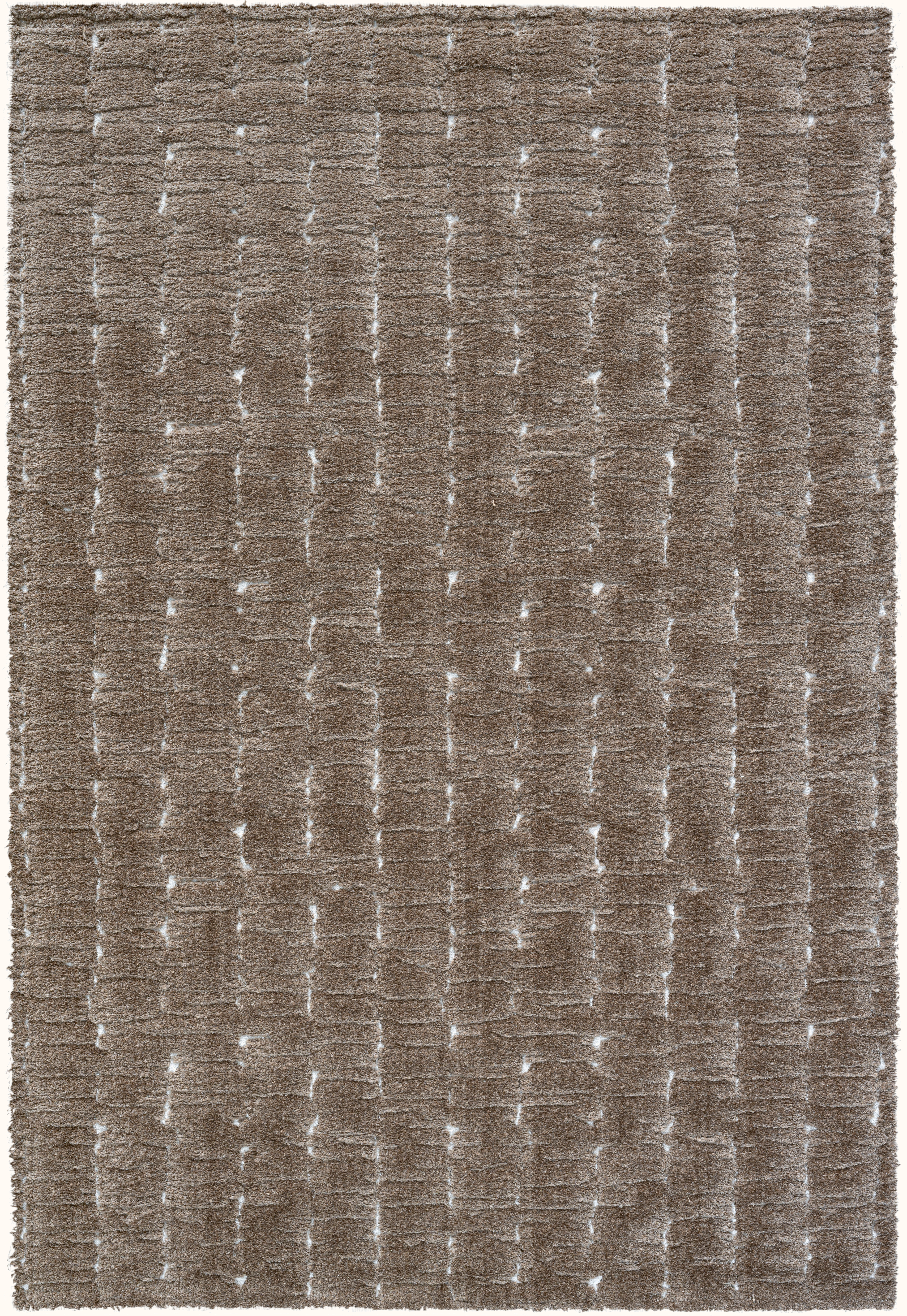 cattania_carpet_allvariants