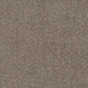 Tessaro - Taupe